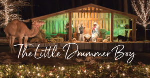 Little Drummer Boy Lyrics - Pentatonix