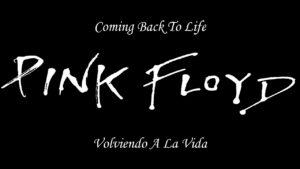 Coming Back To Life Lyrics - Pink Floyd
