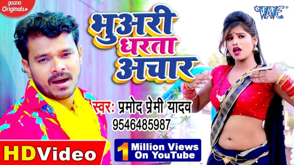 Bhuwari Dharata Achar Lyrics - Pramod Premi Yadav