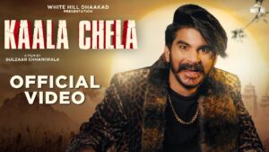Mhare Toode Aale Lyrics - Gulzaar Chhaniwala