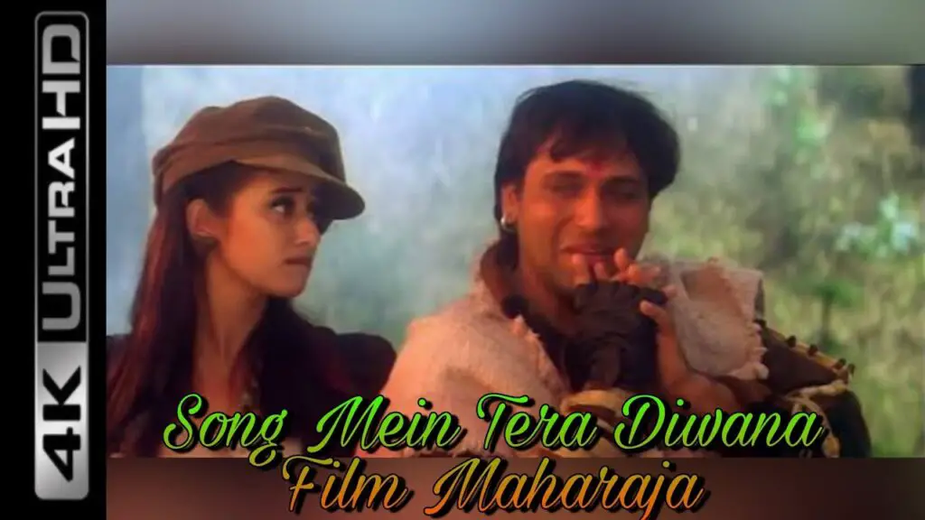 Main Tera Deewana Tu Meri Deewani Lyrics - Maharaja