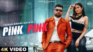 PINK PINK LYRICS - Vikas Dhani Aala & Manisha Sharma 