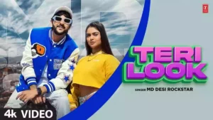 Teri Look Lyrics - Md Desi Rockstar