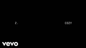 COZY LYRICS - Beyoncé