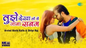 Tujhe Dekha Toh Ye Jana Sanam Lyrics - Arvind Akela Kallu 