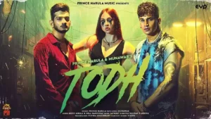 Todh Lyrics - Prince Narula 