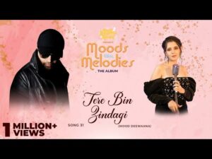 Tere Bin Zindagi Lyrics - Maanuni 