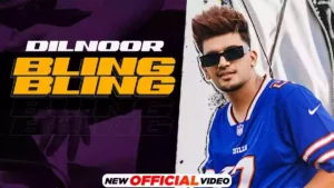 BLING BLING LYRICS - DILNOOR 