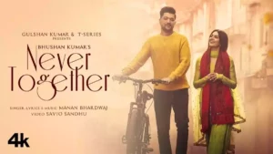 NEVER TOGETHER LYRICS - MANAN BHARDWAJ