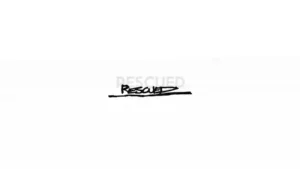 Rescued Lyrics - Foo Fighters