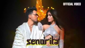 Senorita Lyrics - Tony Kakkar 