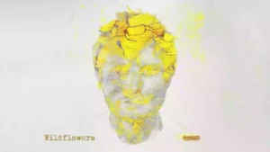 Wildflowers Lyrics - Ed Sheeran 