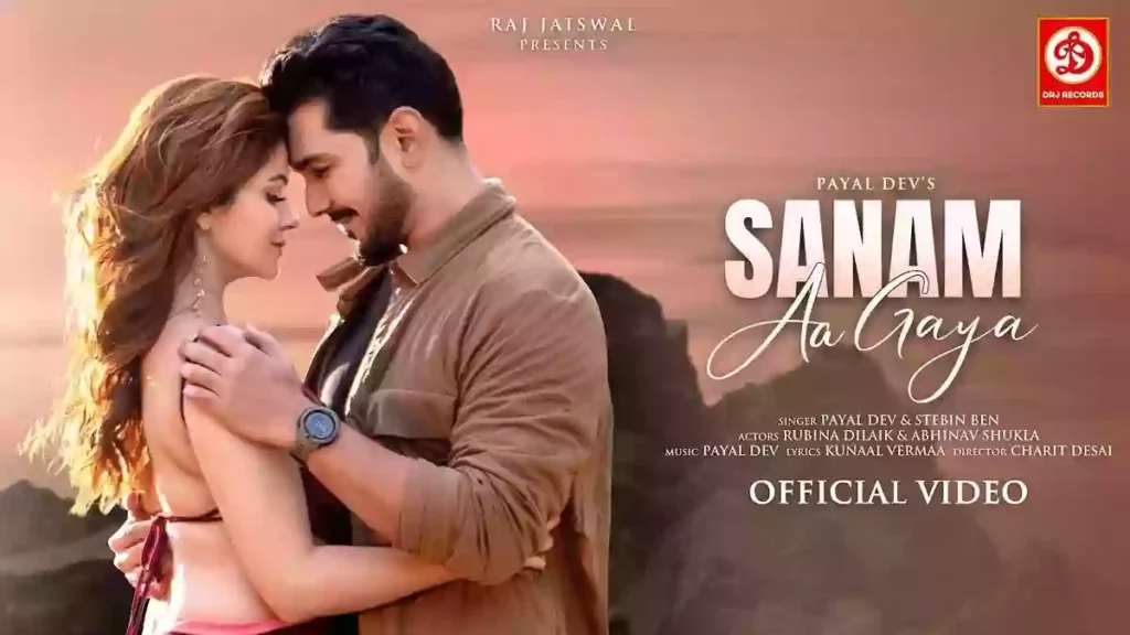 Sanam Aa Gaya Lyrics - Payal Dev & Stebin Ben