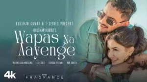 Wapas Na Aayenge Lyrics - Millind Gaba 