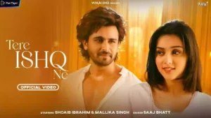 Tere Ishq Ne Lyrics - Saaj Bhatt 