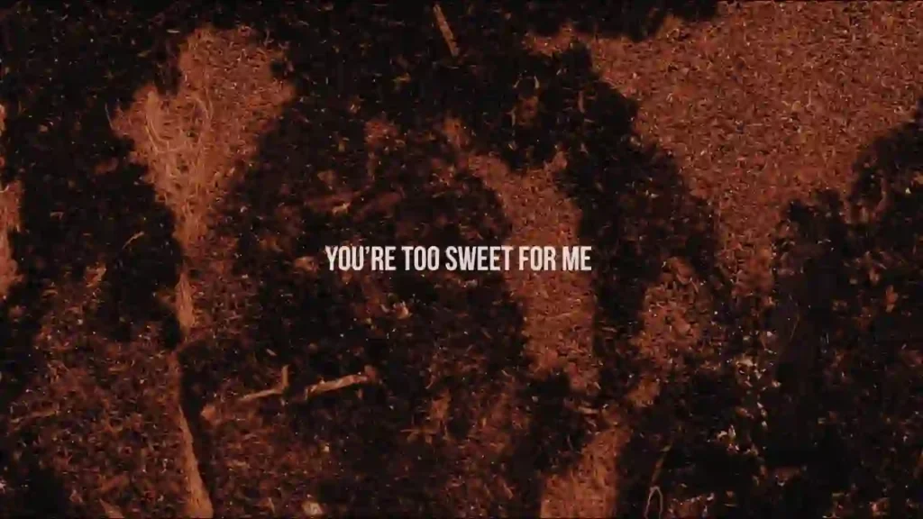 Too Sweet Lyrics - Hozier