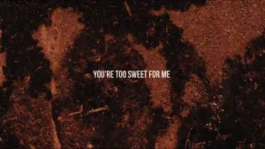 Too Sweet Lyrics - Hozier 